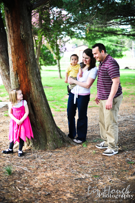 orchard5.jpg