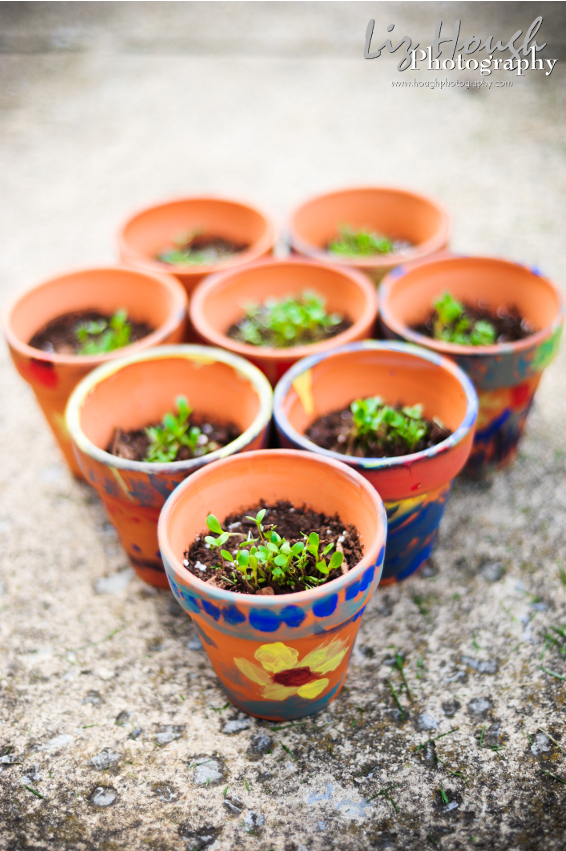plantblog.jpg