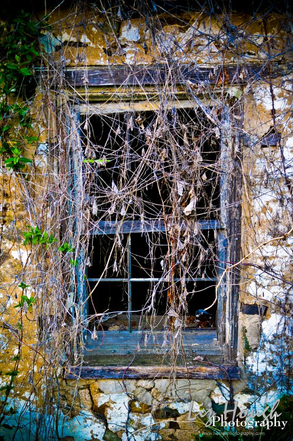 shack3