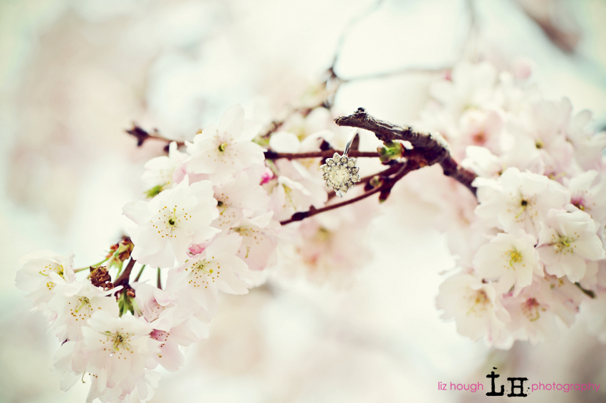 cherryblossomengagement1